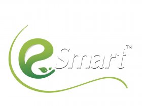 E-Smart Mart